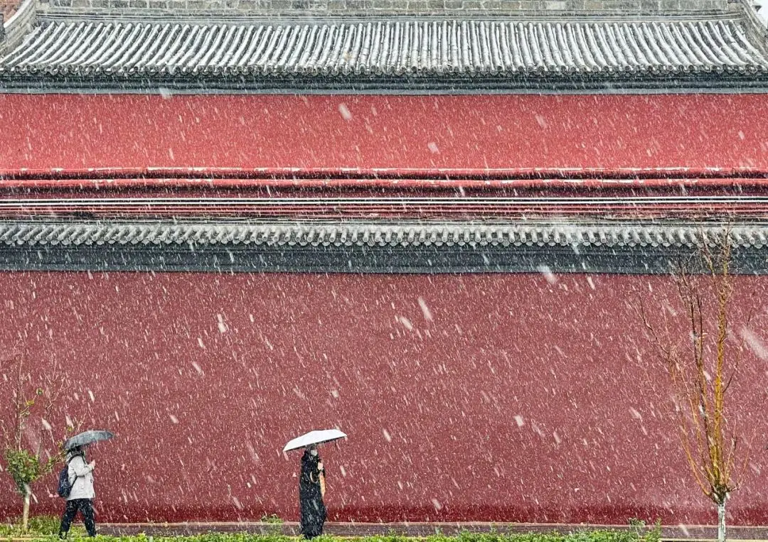 今日大雪，白首与君归