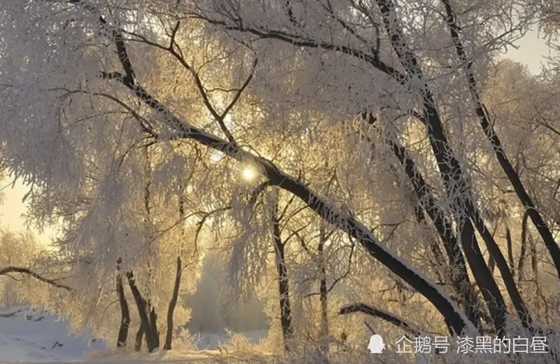 12月上旬开始，财运势旺盛，桃花躲不掉，富得流油的生肖