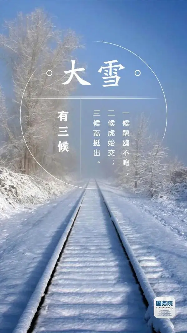 今日大雪丨雪纷飞，仲冬始，大雪的这些你知道吗？