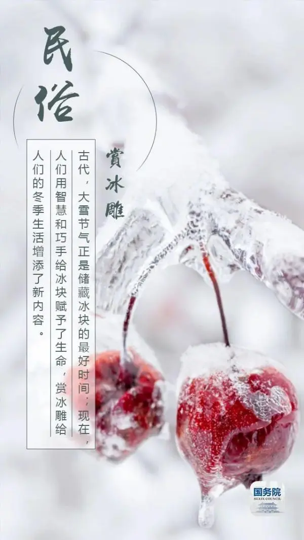 今日大雪丨雪纷飞，仲冬始，大雪的这些你知道吗？