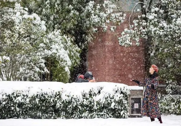 大雪天益冷，岁寒有清欢