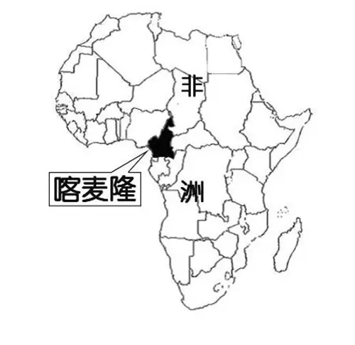 非洲16岁少年继承酋长，将父亲76个妻子纳入后宫，养育400个孩子