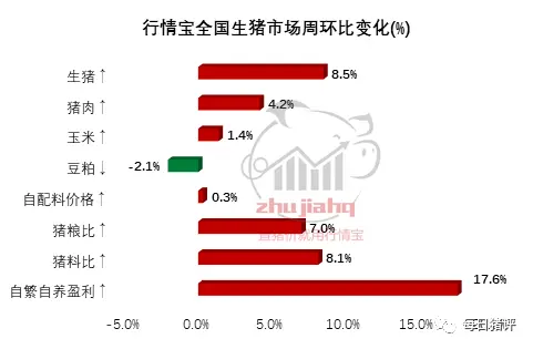 屠企强势压价，猪价上涨会不会彻底熄火？难！