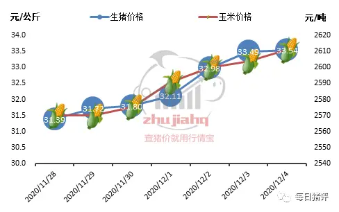 屠企强势压价，猪价上涨会不会彻底熄火？难！