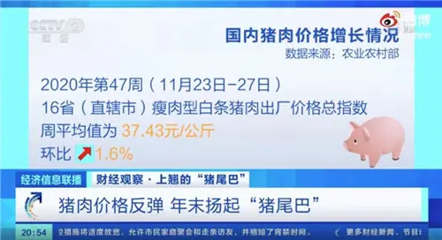 猪肉价格反弹 超1000家房企在养猪，股民称：1头猪利润等于2瓶茅台酒利润