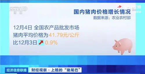 猪肉价格反弹 超1000家房企在养猪，股民称：1头猪利润等于2瓶茅台酒利润