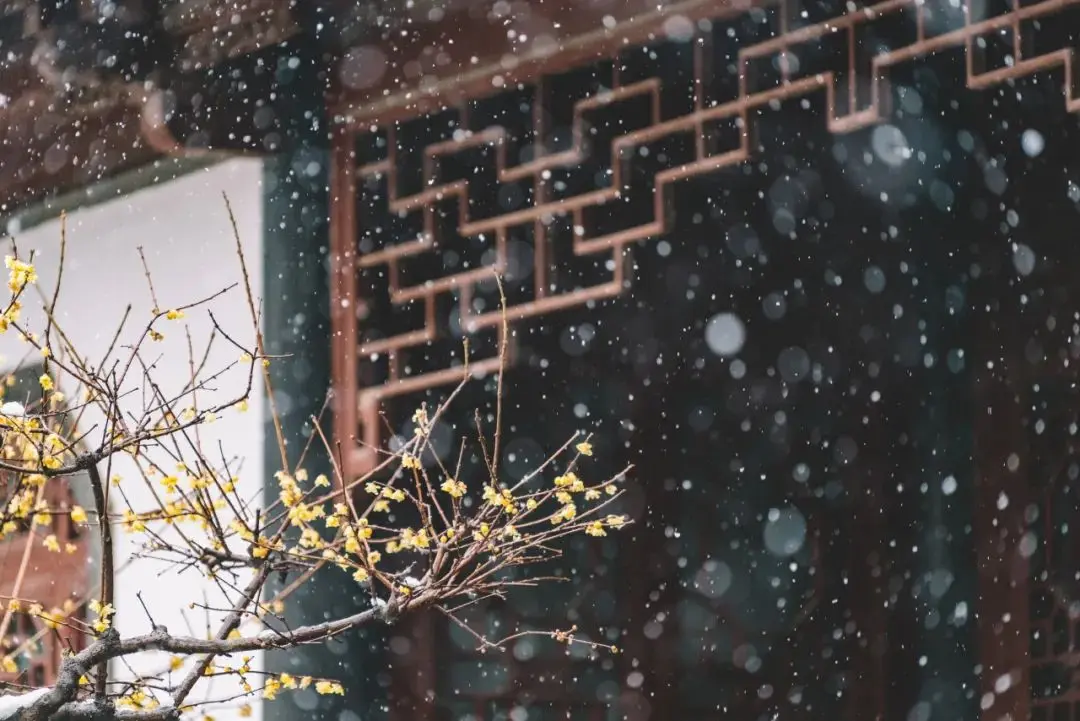 诗意“大雪”