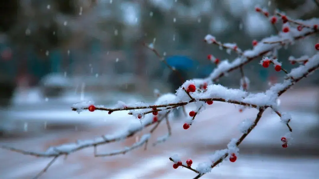 诗意“大雪”