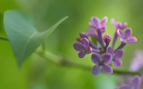 感悟：凡事当留余地，得意不宜再往