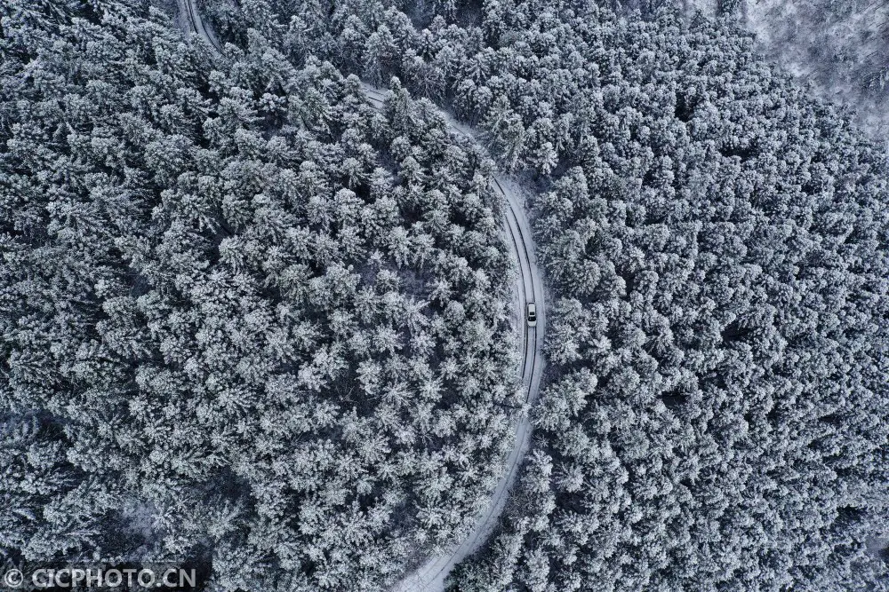 四季之歌｜大雪至 仲冬始