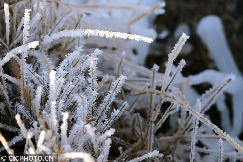 四季之歌｜大雪至 仲冬始