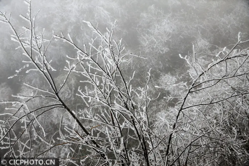 四季之歌｜大雪至 仲冬始