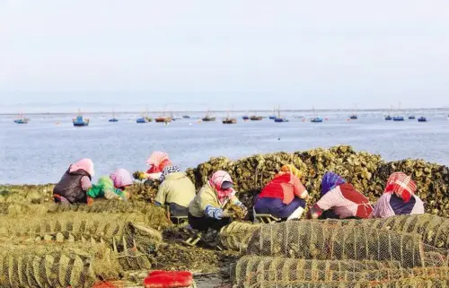 冬日里的烟火气