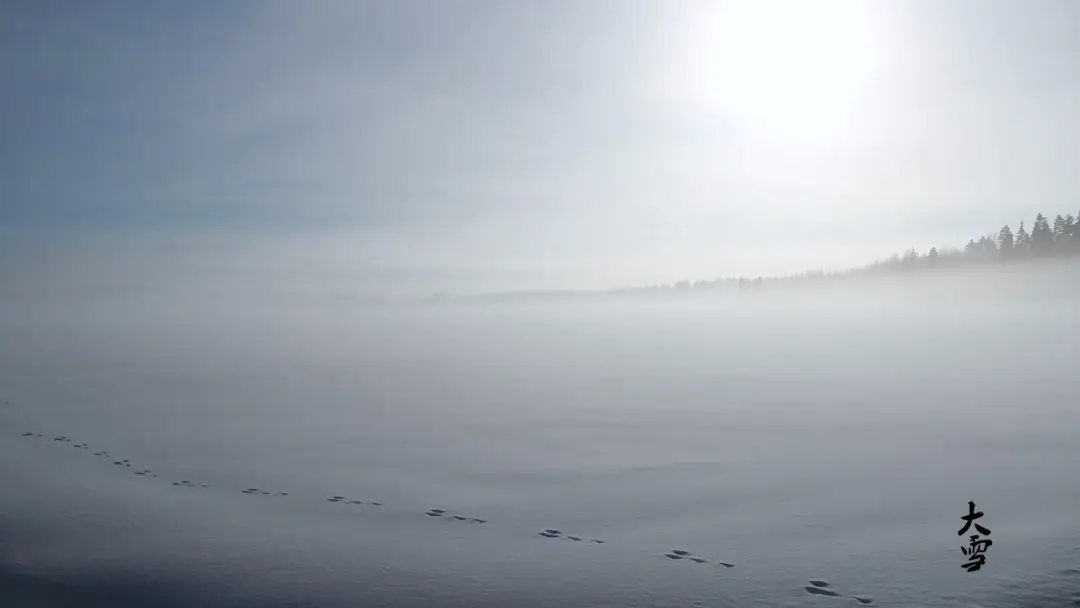 大雪至，寒冬始『二十四节气』