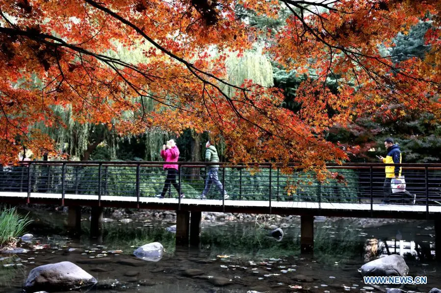 Scenery in Shanghai