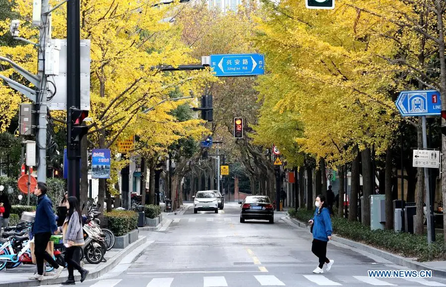 Scenery in Shanghai