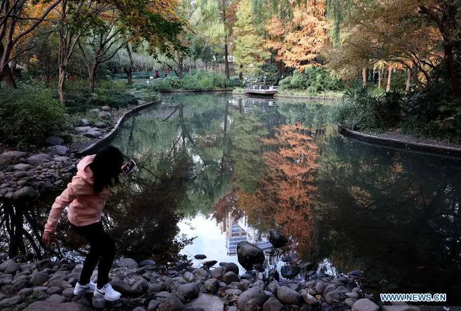 Scenery in Shanghai