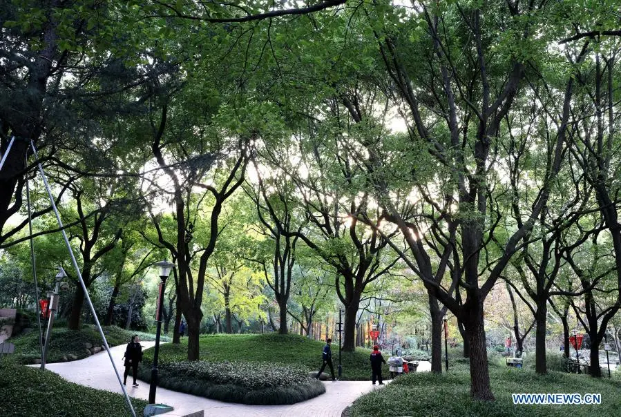 Scenery in Shanghai