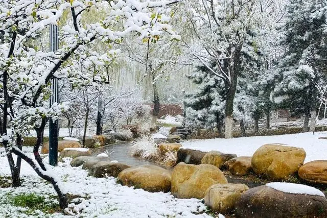 雪落倾城！最是心动的感觉