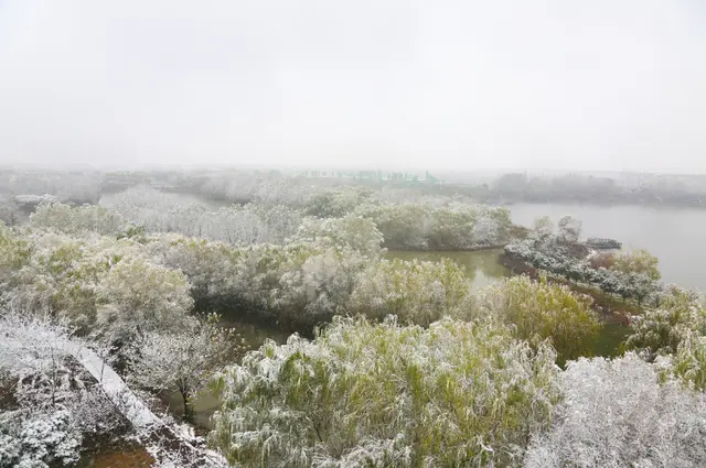 雪落倾城！最是心动的感觉