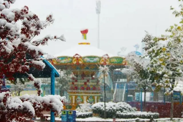 雪落倾城！最是心动的感觉