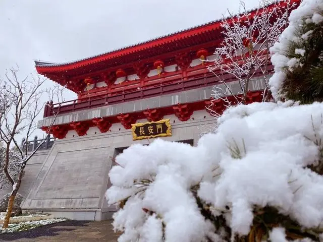 雪落倾城！最是心动的感觉