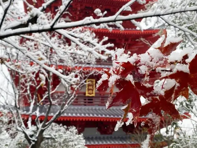 雪落倾城！最是心动的感觉