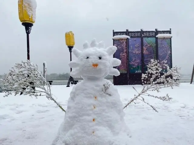 雪落倾城！最是心动的感觉