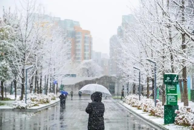 雪落倾城！最是心动的感觉