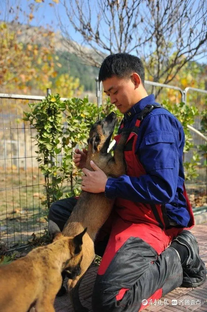 小鼓小球小圈圈，搜救犬幼犬炼成记