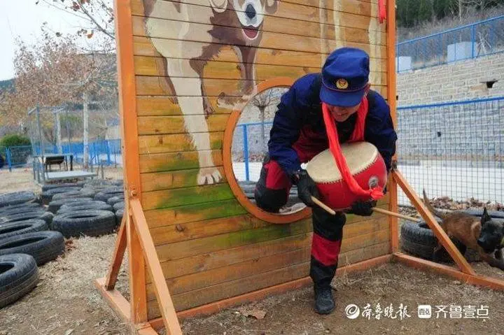 小鼓小球小圈圈，搜救犬幼犬炼成记