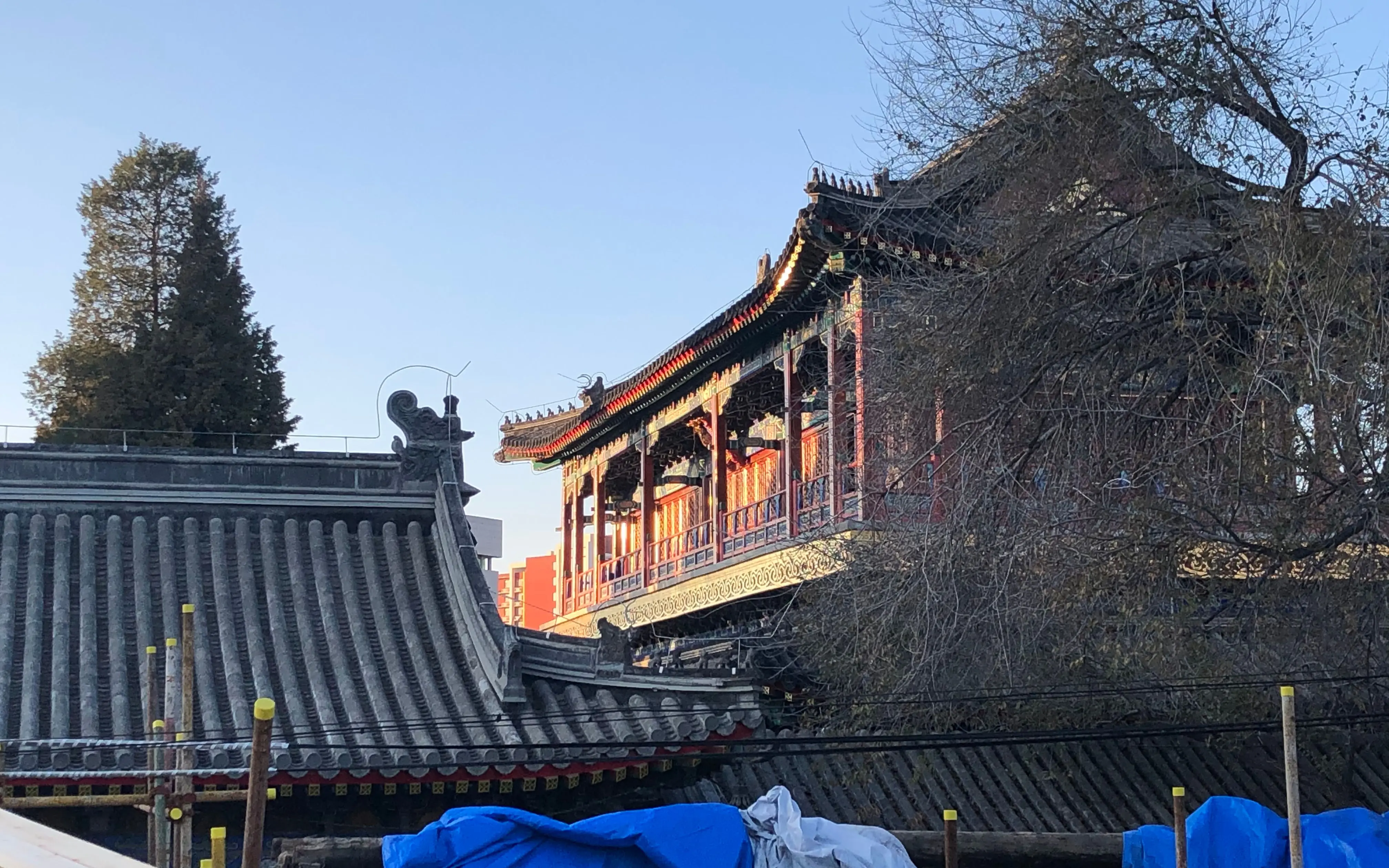 “京西小故宫”万寿寺大修：给观音像做“肠镜”，柱子装“义肢”