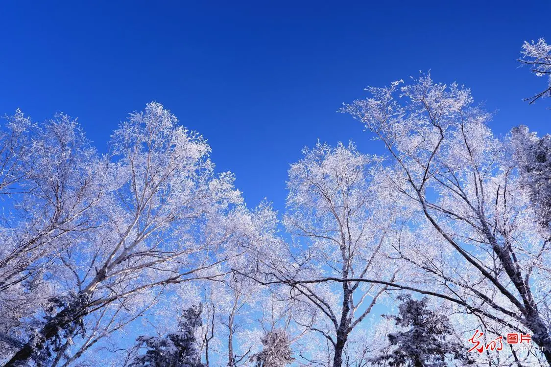 In pics：snow scenery across China