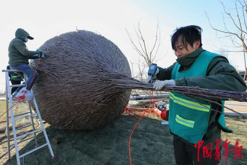 地景扮靓北京城市副中心的冬天