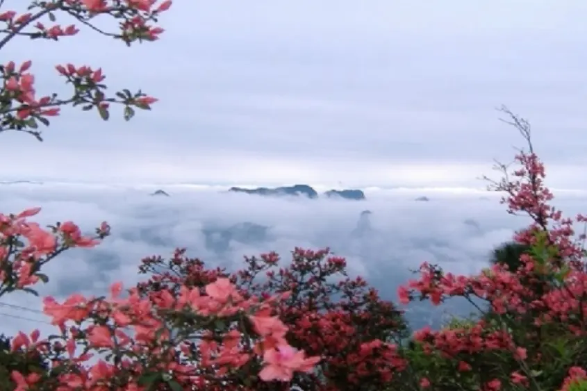 陕西又一“奇幻”景区走红，人称陕西“小黄山”，位居4A门票0元