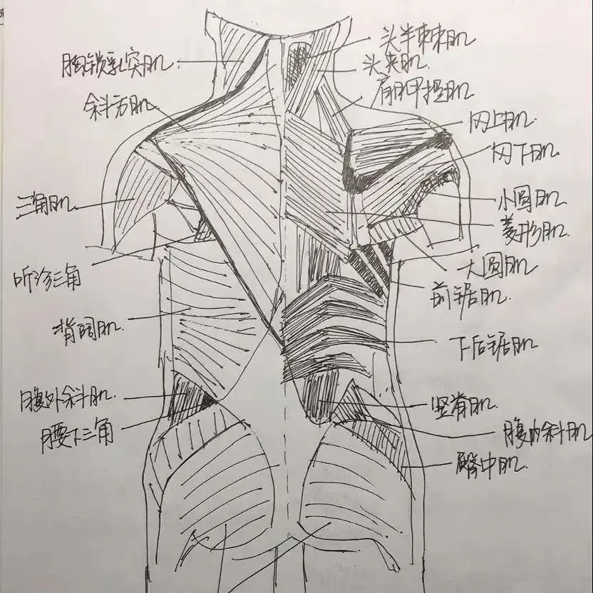 学学学学学…学霸的笔记这么魔性的吗？