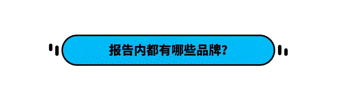 权威发布！服务比奔驰还好的中国品牌有4家！