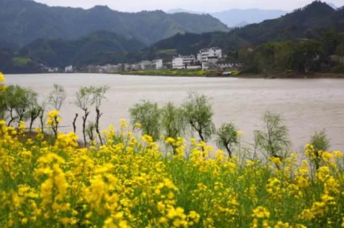 安徽有个山水画廊，很少人知风景绝美，被誉为江南“东方多瑙河”