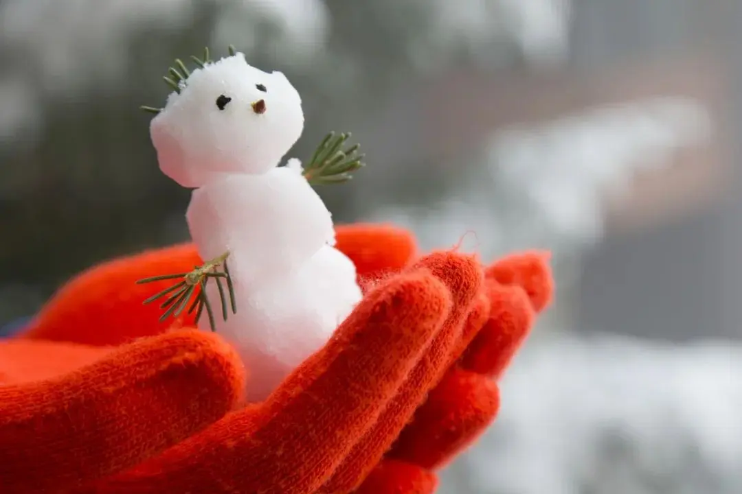 夜话丨大雪：人生四季皆风景，雪落时节又逢君