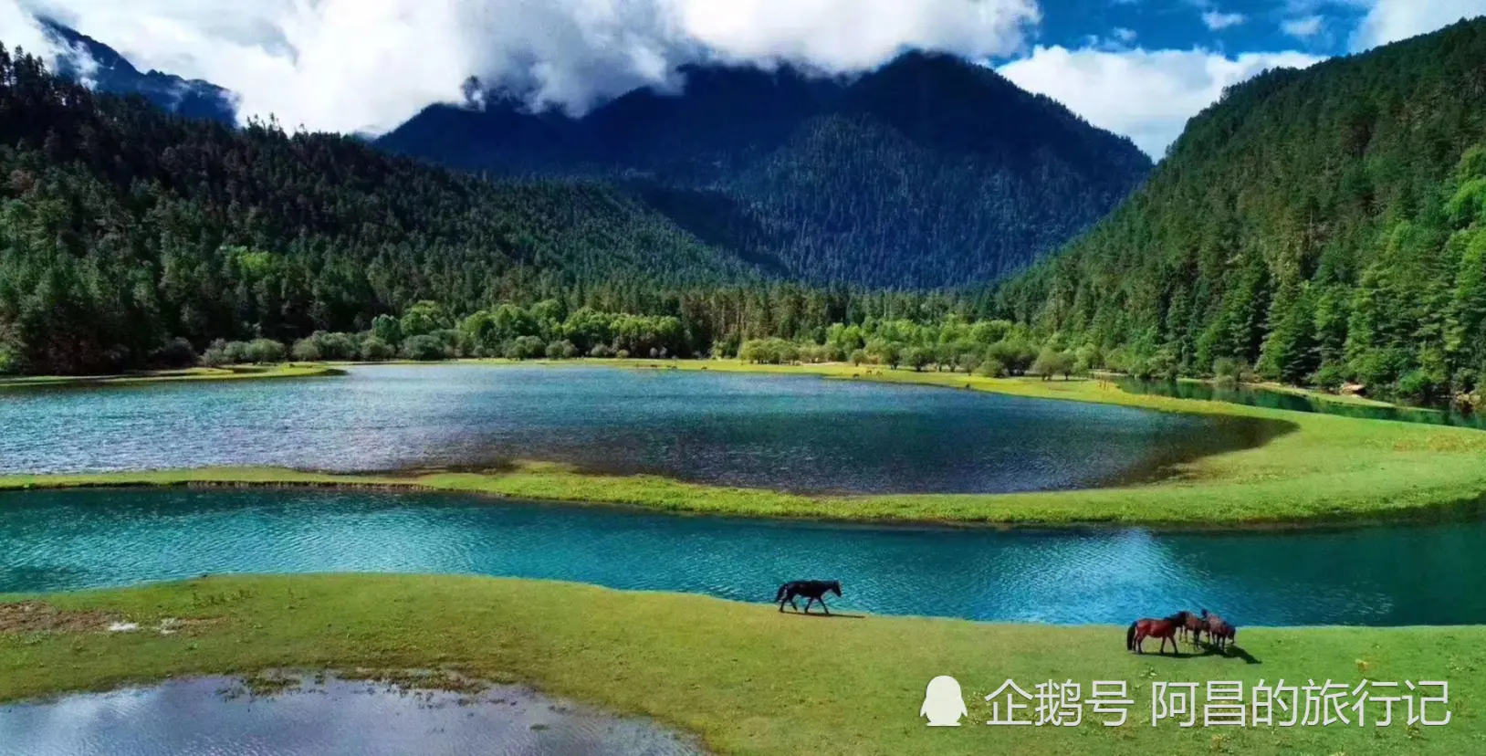 西藏林芝波密的美景可以媲美喀纳斯，很多朋友以为波密这条河是喀纳斯河