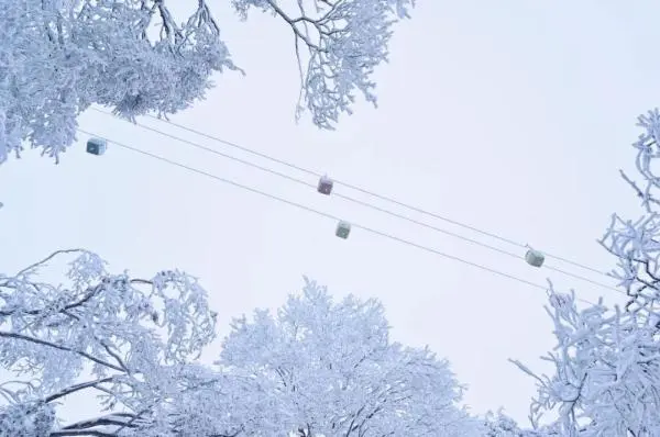 一下雪，中国就穿越了千年！