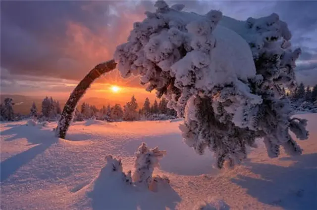 元稹说，大雪节气之美，在于大雪节气有温柔的冬日暮晖