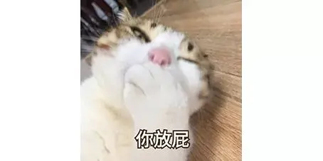 我寻思一只猫能有多臭？直到它放了个屁……