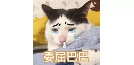 我寻思一只猫能有多臭？直到它放了个屁……