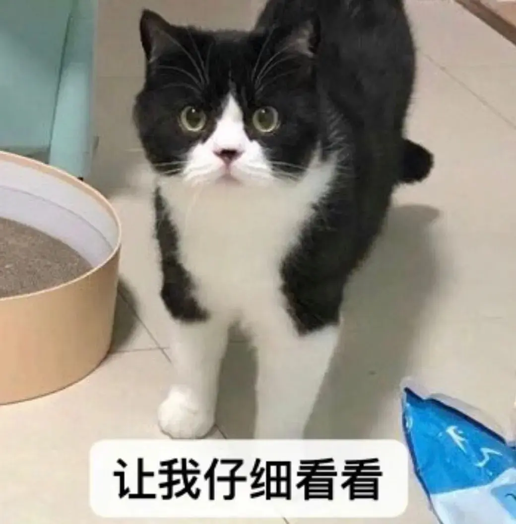 我寻思一只猫能有多臭？直到它放了个屁……