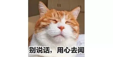 我寻思一只猫能有多臭？直到它放了个屁……