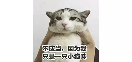 我寻思一只猫能有多臭？直到它放了个屁……