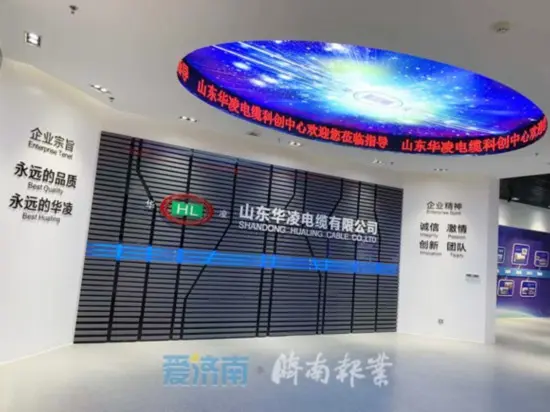2020年济南市重点项目建设 孙立成孙述涛殷鲁谦雷杰边祥慧参加活动