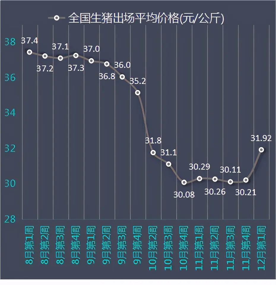 12月8日20公斤仔猪价格，养猪利润再涨，明年入局养猪需做好准备