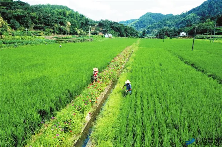 灌区智能信息化管理系统解决方案